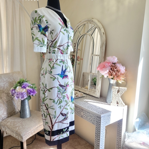 🍒NWOT🍒 TED BAKER EVERLY BODYCPN DRESS - Picture 2 of 8